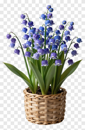 Flower Bouquet In A Woven Basket PNG
