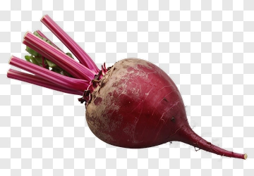 Beetroot With Green Leaves PNG