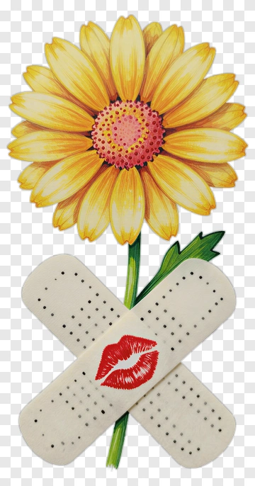 Flower With Band-Aids And Kiss Mark PNG