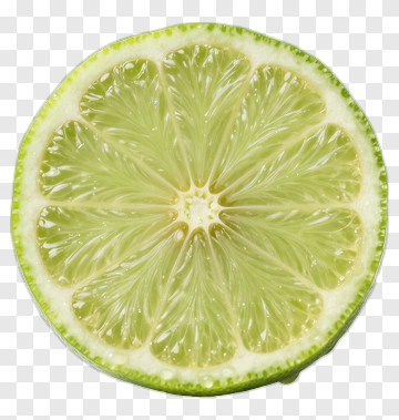 Fresh Lime Slice PNG