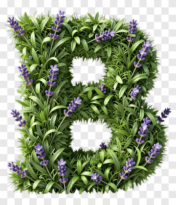Lavender And Grass Letter B PNG