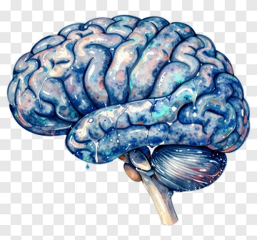 Colorful Brain Illustration PNG