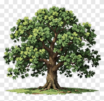 Detailed Green Tree With Lush Foliage PNG