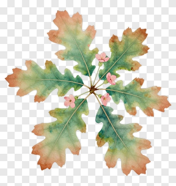 Watercolor Oak Leaves With Pink Flowers PNG