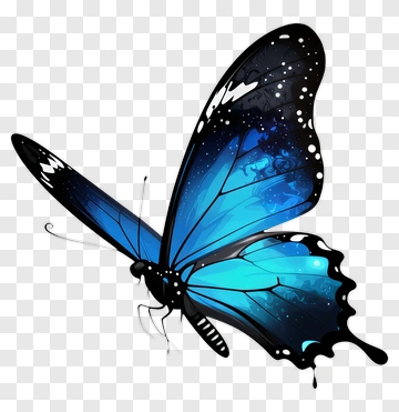 Colorful Butterfly With Galaxy Design PNG