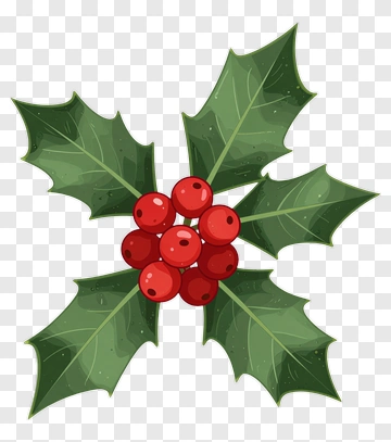 Holly Plant With Red Berries PNG