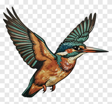 Colorful Kingfisher Bird In Flight PNG
