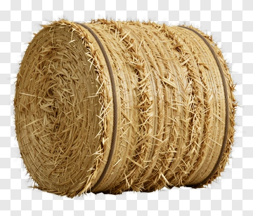 Hay Bale PNG