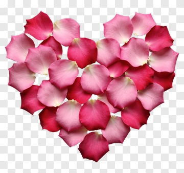 Heart Shaped Rose Petals PNG