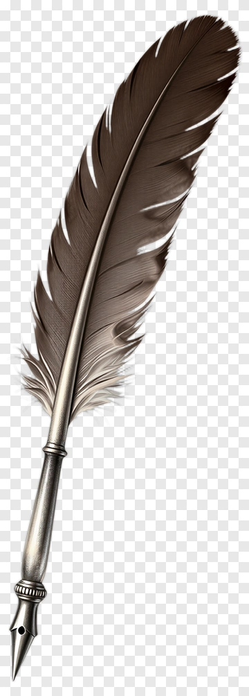 Quill Pen With Feather PNG