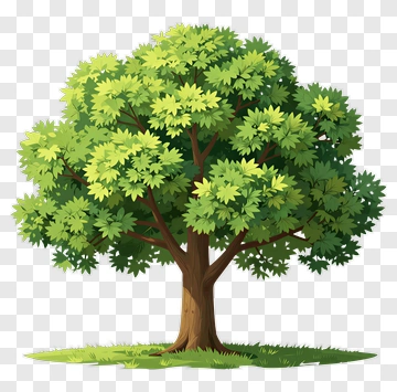 Colorful Tree PNG