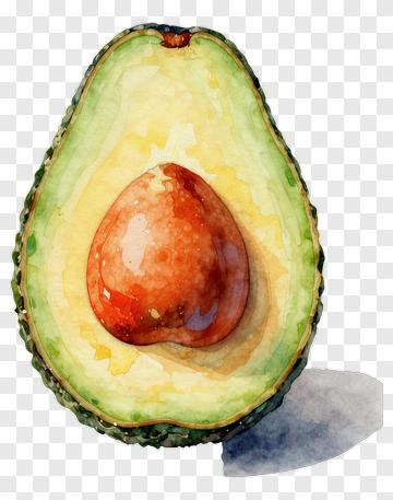 Watercolor Avocado Half With Seed PNG