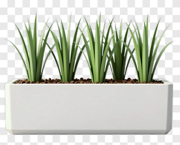 Modern Planter With Green Grass PNG