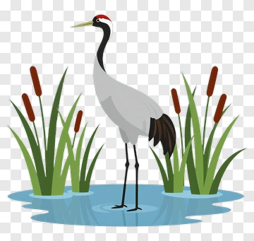Crane Standing In A Marsh PNG