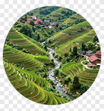 Terraced Rice Fields With Stream And Houses PNG