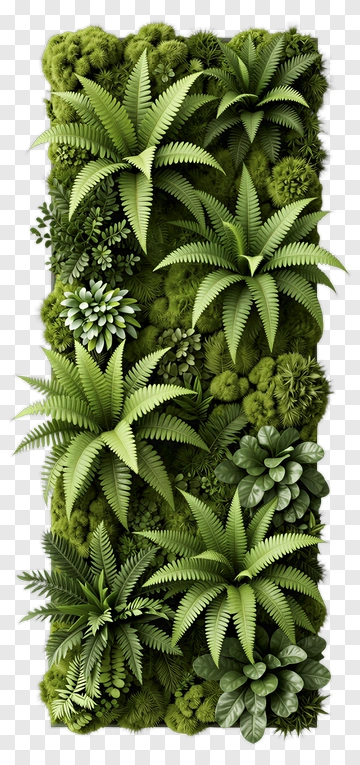 Lush Green Vertical Garden PNG