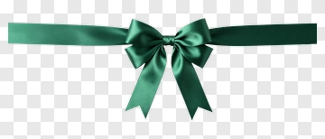Green Ribbon Bow PNG