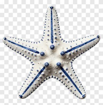 Starfish With Blue Accents PNG