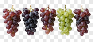 Bunches Of Grapes PNG