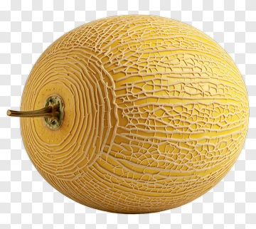 Melon With Cracked Skin PNG