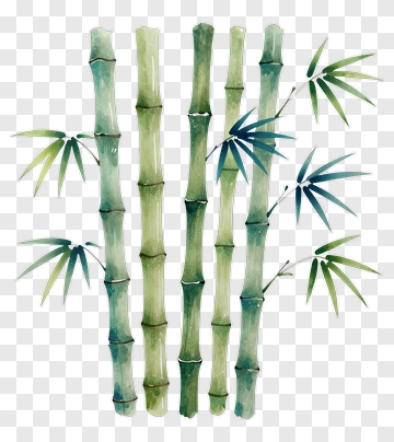 Watercolor Bamboo Stems And Leaves PNG