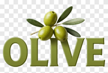 Olive With Green Leaves PNG