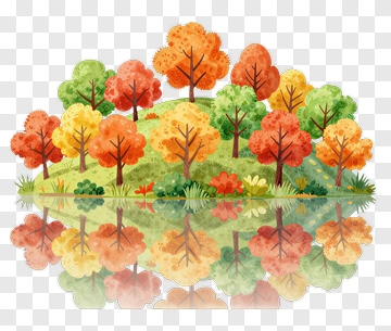 Colorful Forest With Autumn Trees And Reflection PNG