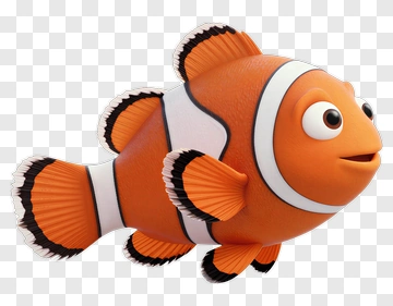 3D Clownfish Swimming PNG