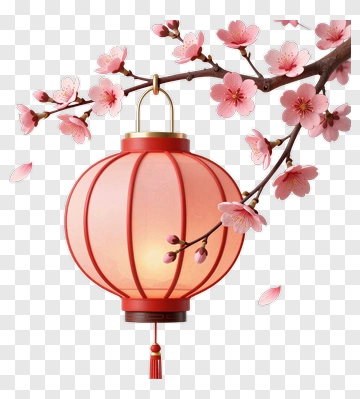 Red Lantern With Cherry Blossom Branch PNG