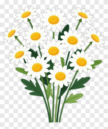 Cartoon Daisy Flower Bouquet PNG