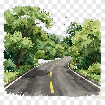 Winding Road Through A Lush Green Forest PNG
