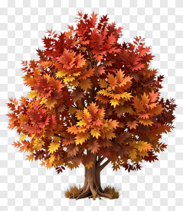 Colorful Tree With Autumn Leaves PNG