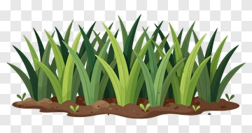 Colorful Grass Patch PNG