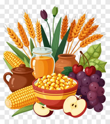 Harvest Basket With Fruits And Grains PNG