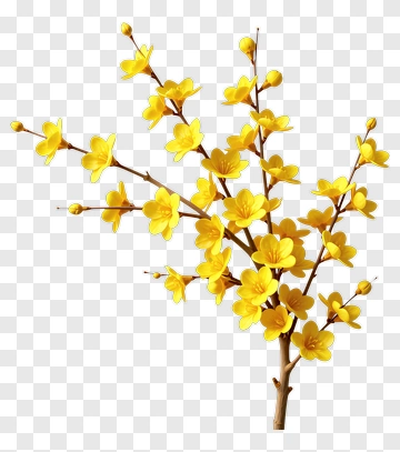 Yellow Flower Branch PNG