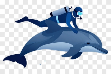 Diver Riding A Dolphin PNG