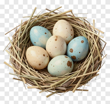 Nest Of Colorful Easter Eggs PNG
