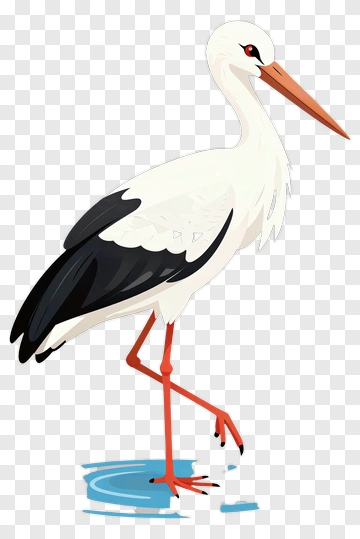 Cartoon Stork Standing In Water PNG