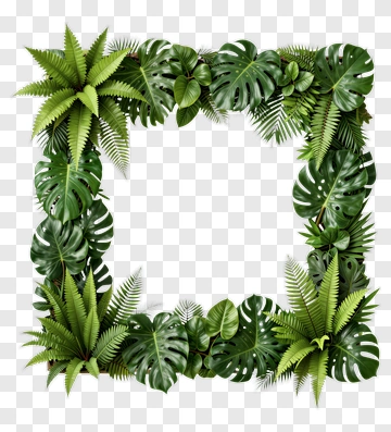 Tropical Leaf Frame PNG