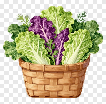 Basket Of Fresh Greens PNG
