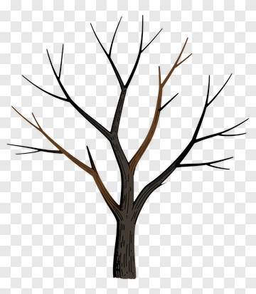 Bare Tree PNG