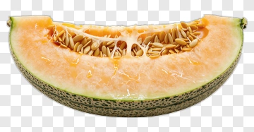 Sliced Cantaloupe Melon PNG