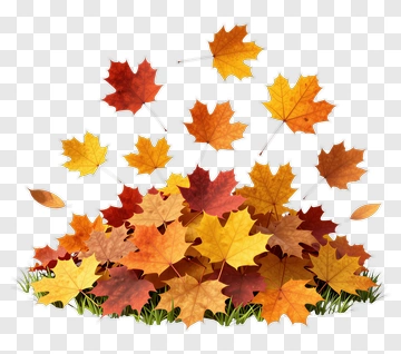 Autumn Leaves Pile PNG