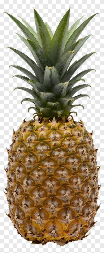 Fresh Pineapple With Green Leaves PNG