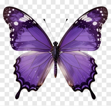Purple Butterfly PNG