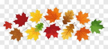Colorful Autumn Leaves PNG