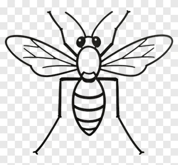 Cartoon Mosquito Illustration PNG