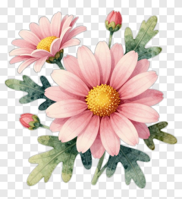 Watercolor Pink Daisy Bouquet PNG