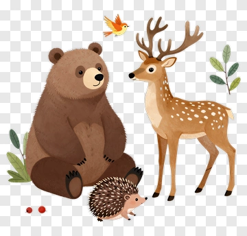Cartoon Forest Animals Including Bear, Deer, And Hedgehog PNG