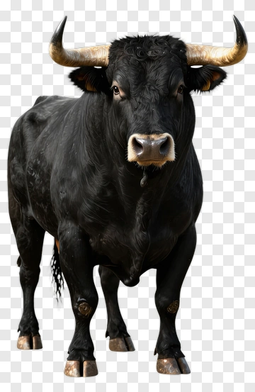 Black Bull With Prominent Horns PNG